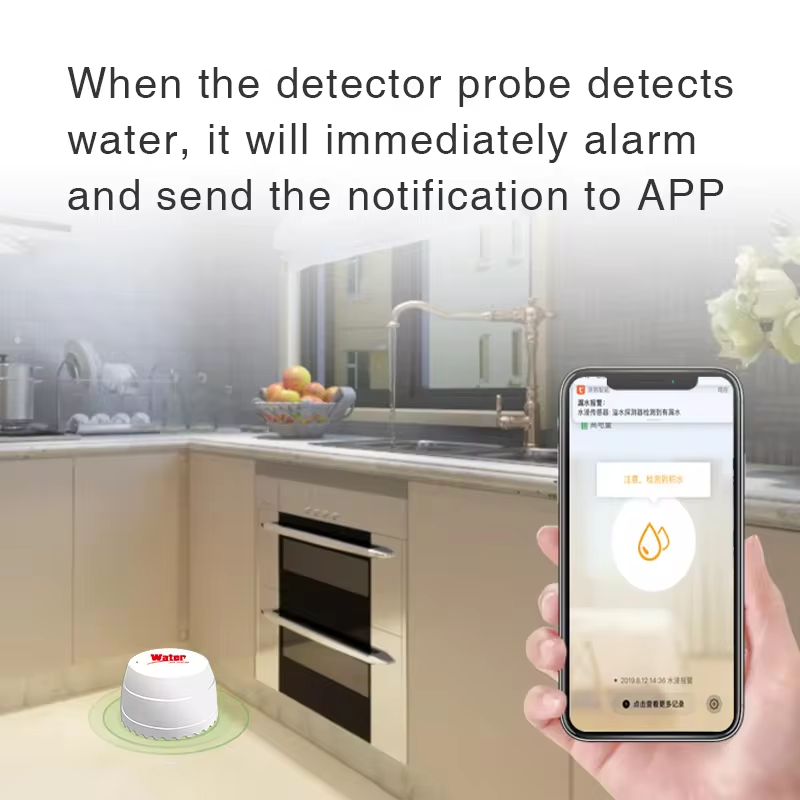 Tuya WiFi 누수 감지기 홍수 센서 스마트 라이프 - Water Alarm Sensor 리뷰 및 가격